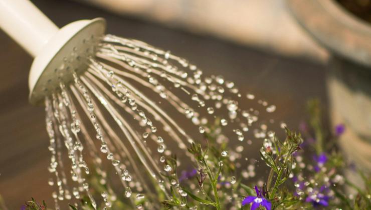 Acqua calda in ogni angolo di casa - agemobile.com - 20250225